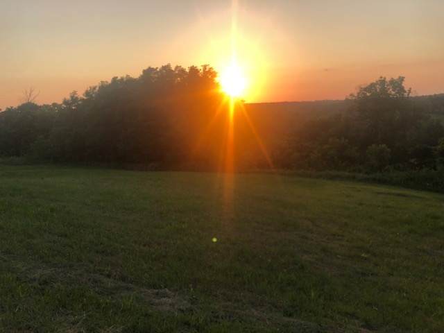 2.75 acres Kerns Lane - Photo 1