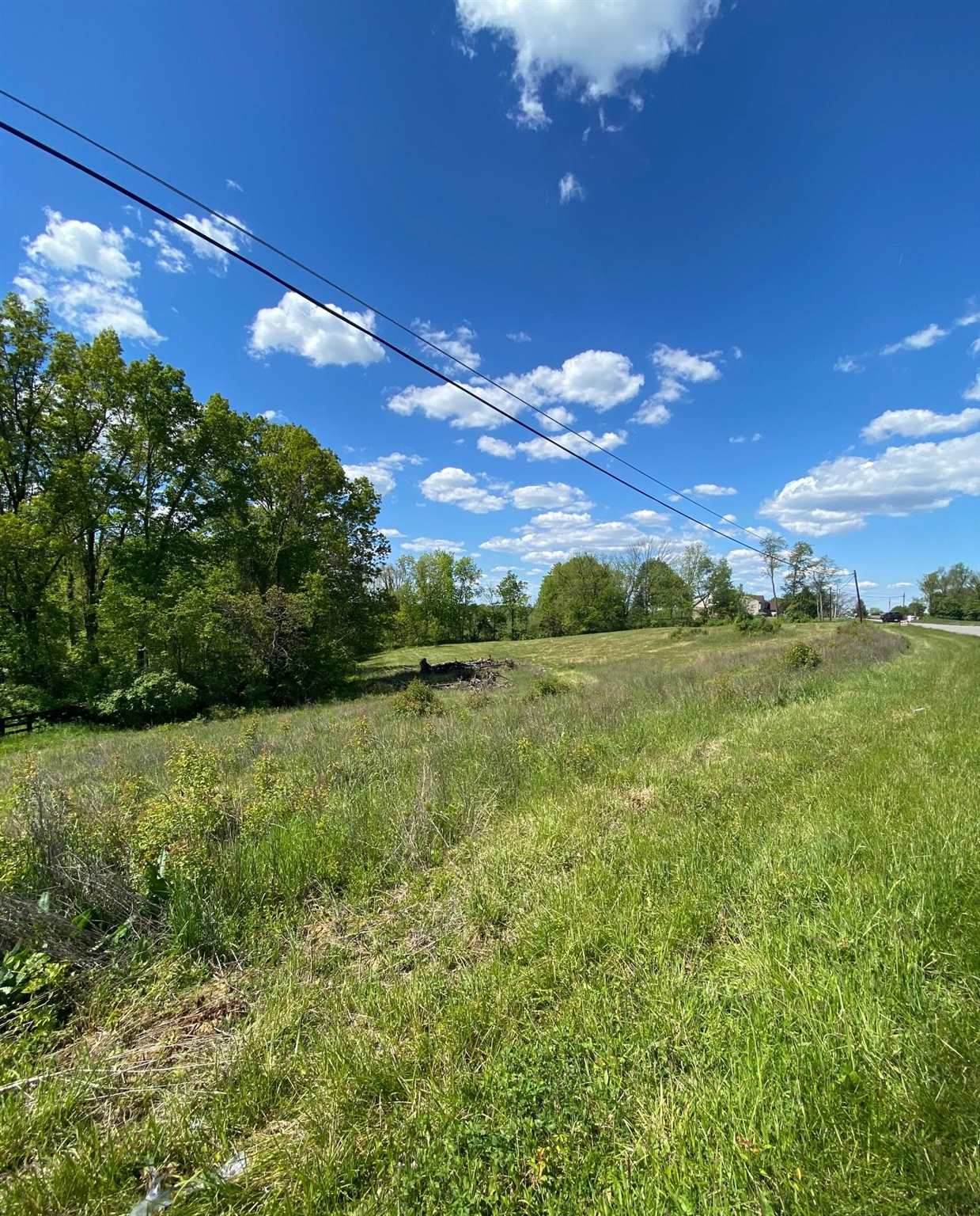 2.62 Acres Violet Road - Photo 1