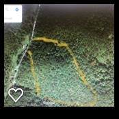 Pruitt Hollow Road - Photo 1
