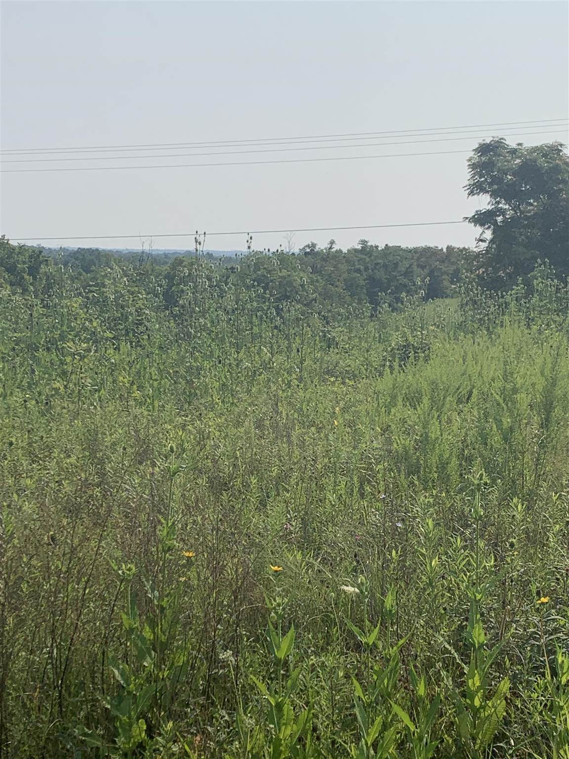 7130 Hwy 22 - Photo 1