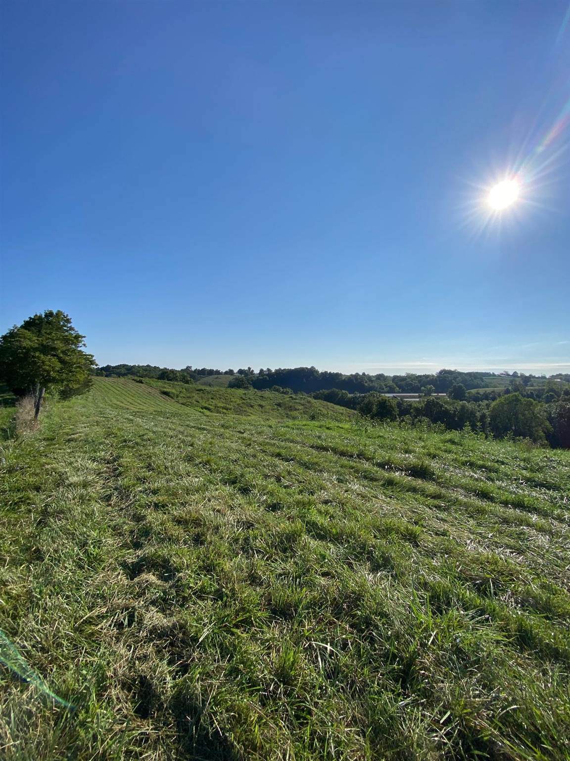 6.60 AC Keefer Road - Photo 1