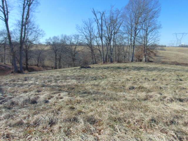 Lot # 12 J S Lane - Photo 1