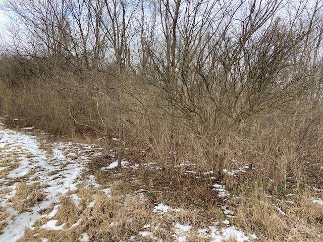 563 Riley Road - Photo 1