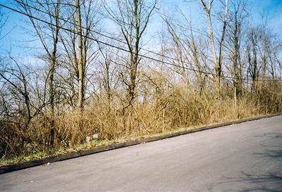 0 Ward Avenue - Photo 1