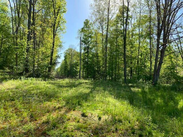 4555 Straight Fork Rd. - Photo 1