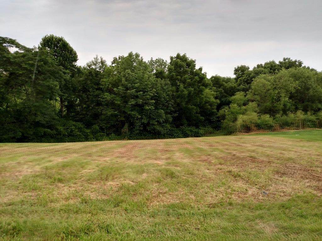 0 Hogg Ridge Lot 3 Road - Photo 1