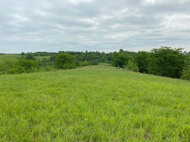154 Hidden Acres - Photo 1