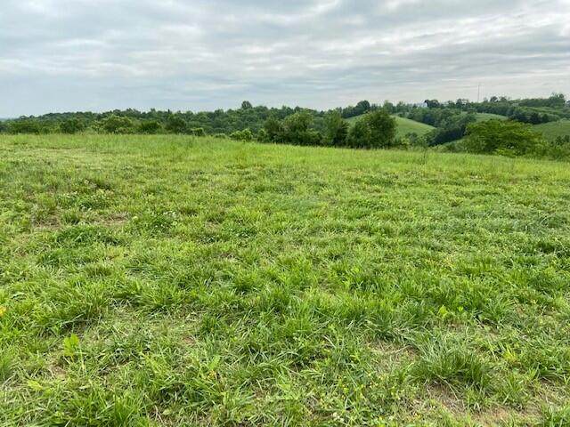 128 Hidden Acres - Photo 1