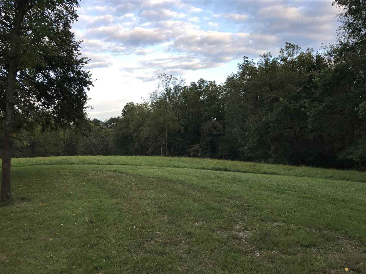 0 Violet Rd 16+/- Acres - Photo 1