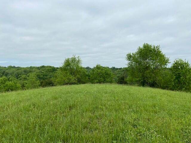 385 Hidden Acres - Photo 1