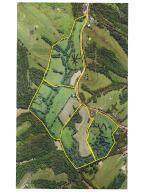 21.9 Ac Greenup Road - Photo 1