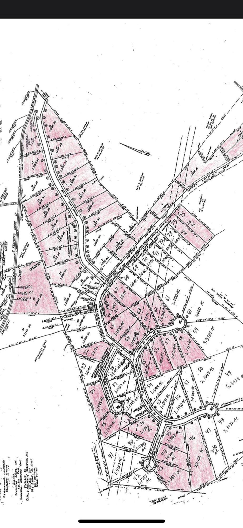 LOT 49 Gailen - Photo 1