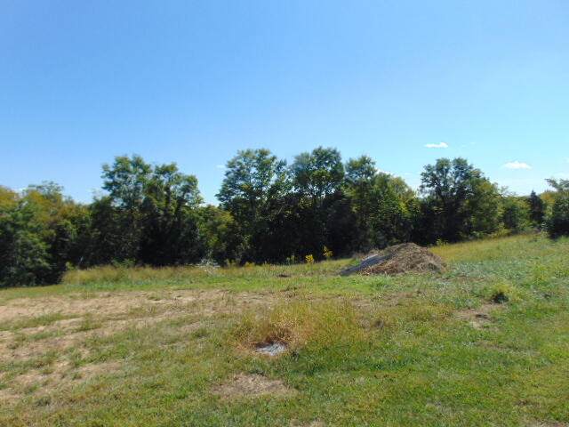 Lot# 18 Cedar Point - Photo 1