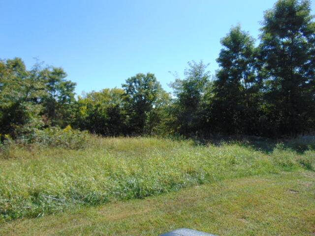 Lot# 17 Cedar Point - Photo 1