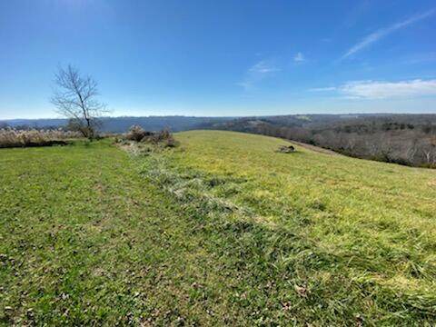 4495 Knoxville Gardnersville Road - Photo 1