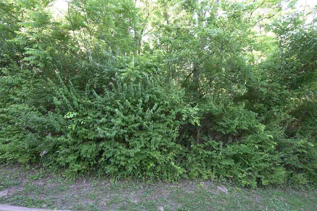43.5-45.5, Kentucky Drive - Photo 1
