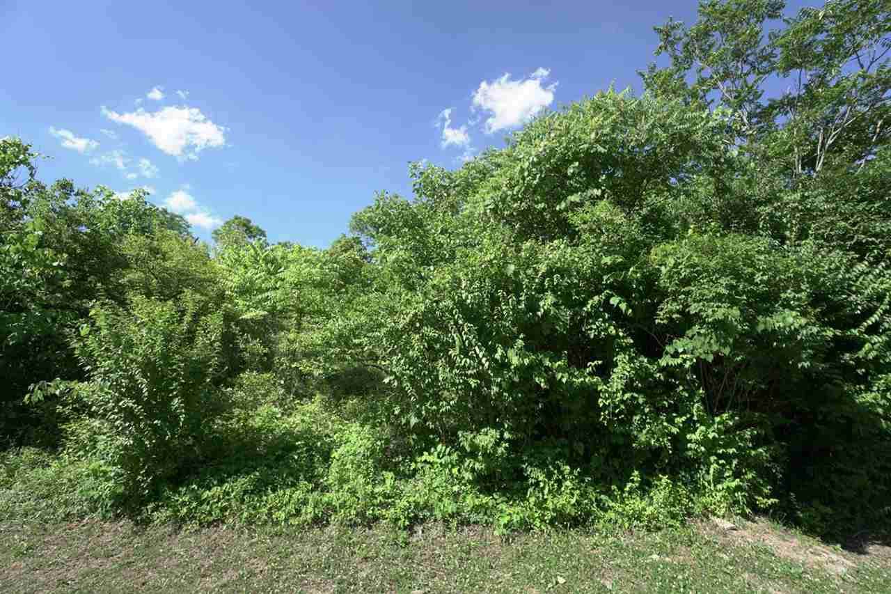 85 & 87 Kentucky Drive - Photo 1