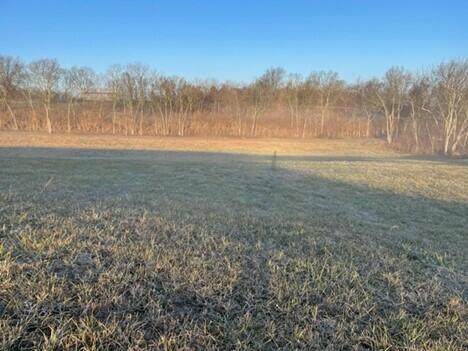 tract 5 Hwy 1316 - Photo 1