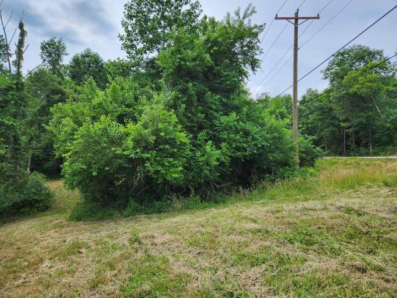 0 Belleview Road - Photo 1