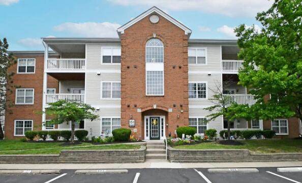 151 Saddlebrook Lane - Photo 1