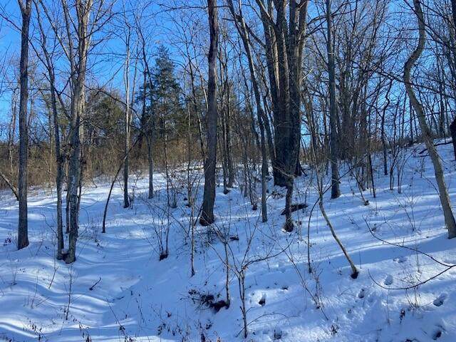 190 Old Carntown Rd. - Photo 1