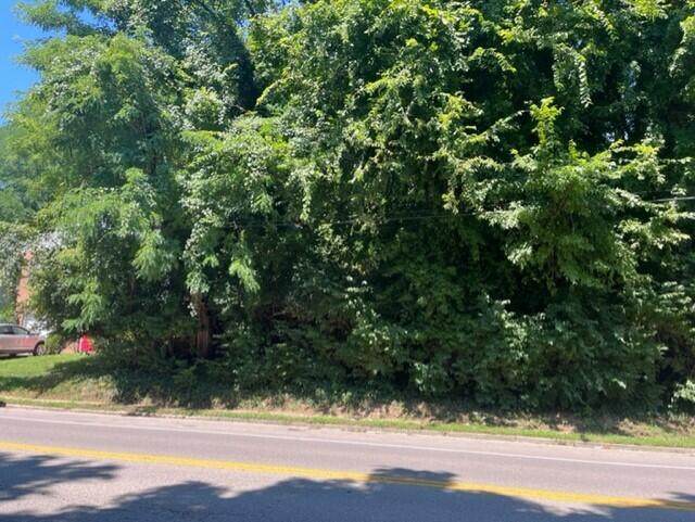 0 Memorial Parkway - Photo 1