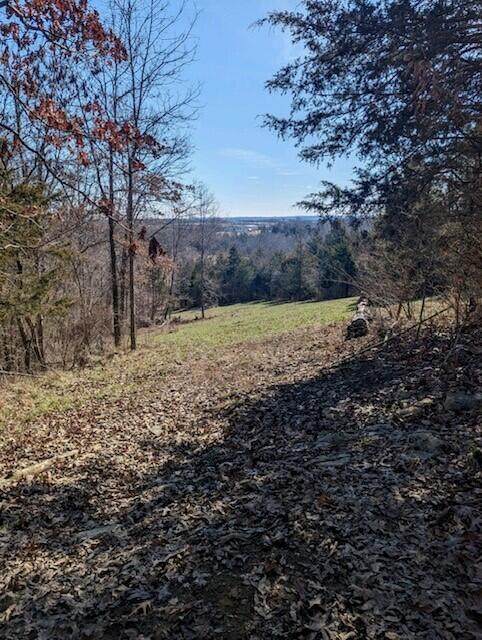 0 Fishing Creek Road - Photo 1