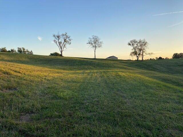 735 Maple Leaf Drive - Photo 1