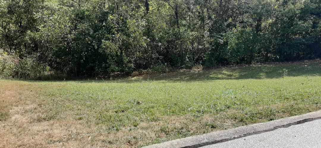 Lot 159 Hunters Trace - Photo 1