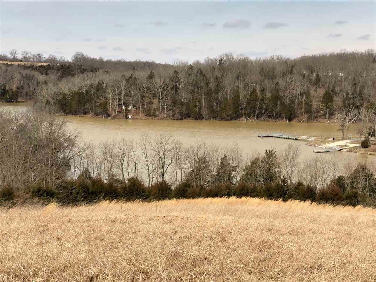 Lot 22 James Boling Lane - Photo 1