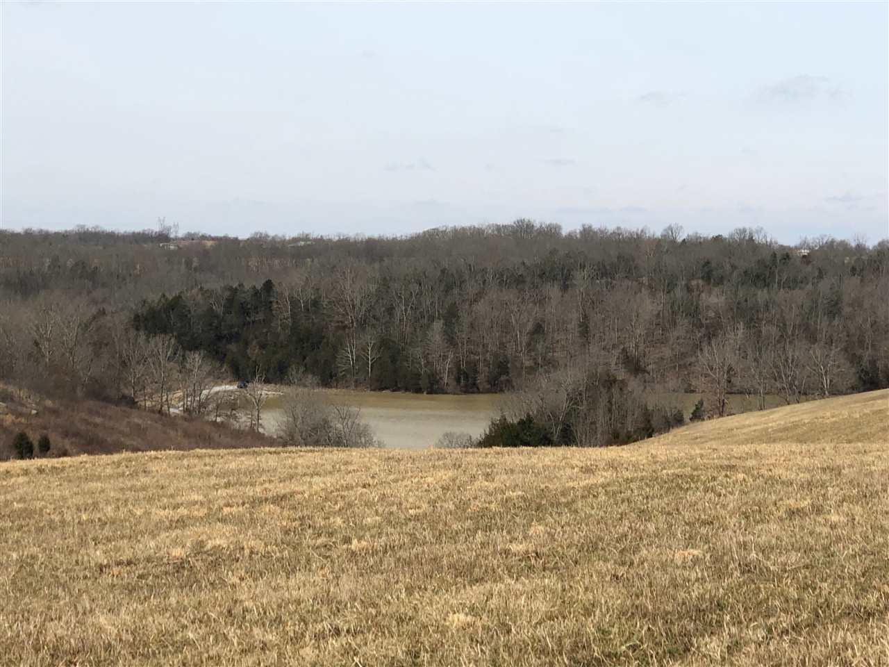 Lot 9 James Boling Lane - Photo 1