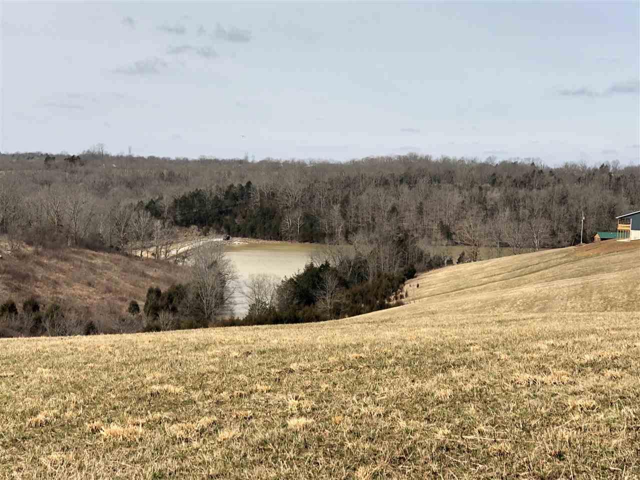 Lot 10 James Boling Lane - Photo 1