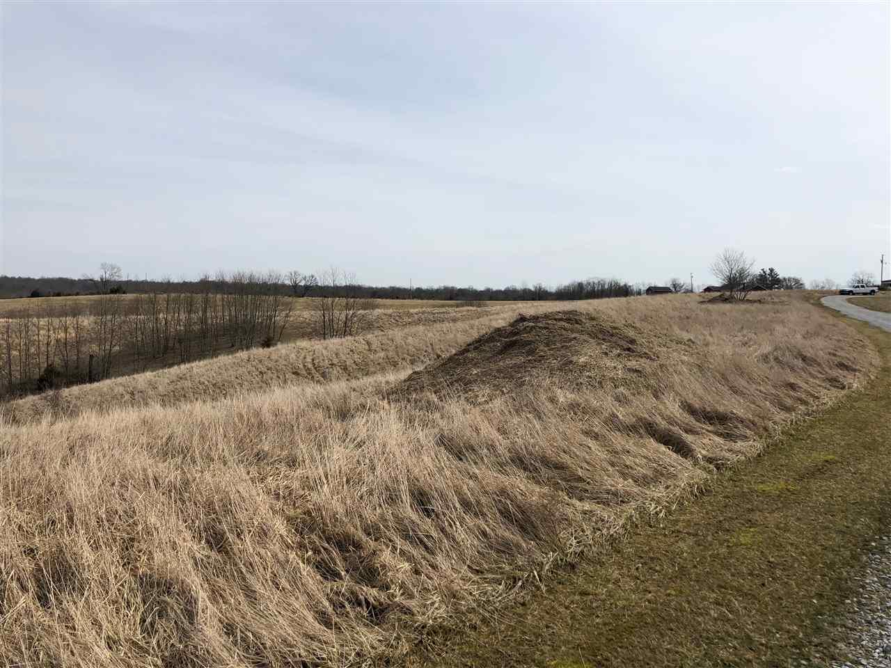Lot 21 James Boling Lane - Photo 1
