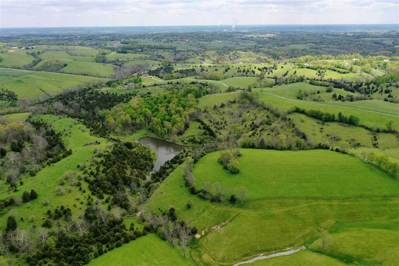 54 Acres Peach Grove Road - Photo 1