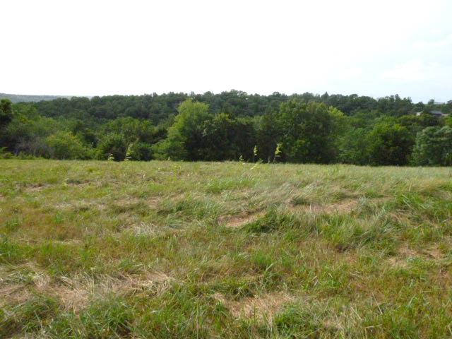 Pleasant Ridge Road - Photo 1