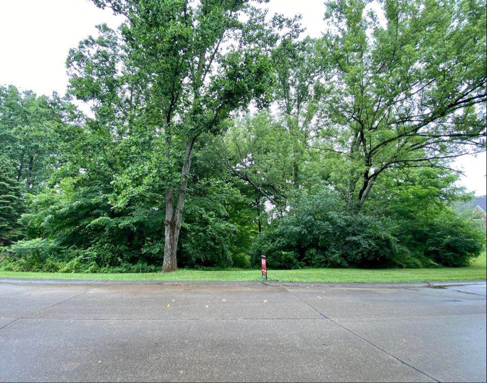 10454 Cory Drive - Photo 1