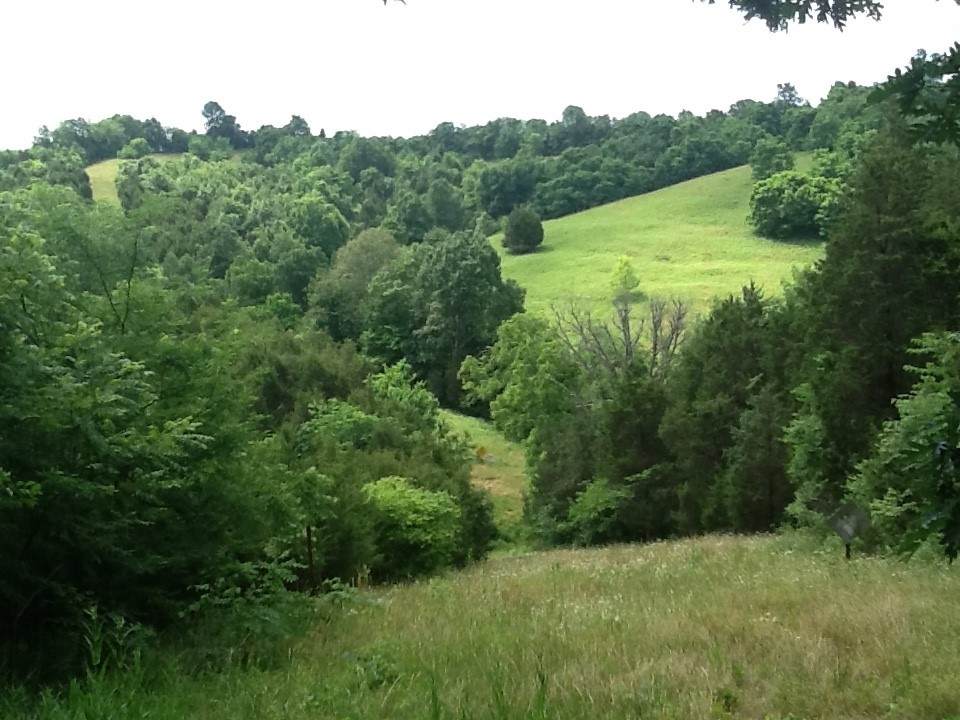 2789 Pea Ridge Road - Photo 1