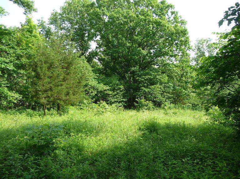 0 Claxton Ridge Road - Photo 1