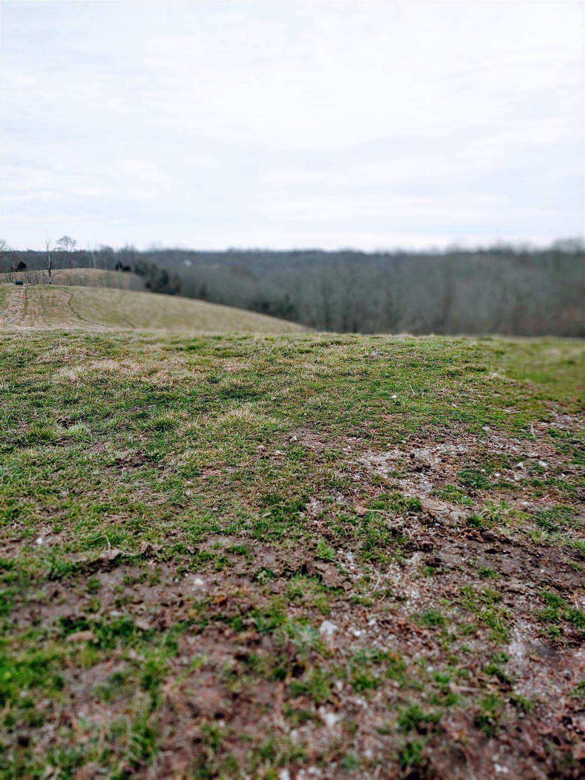Tract #2 Stone Lane - Photo 1
