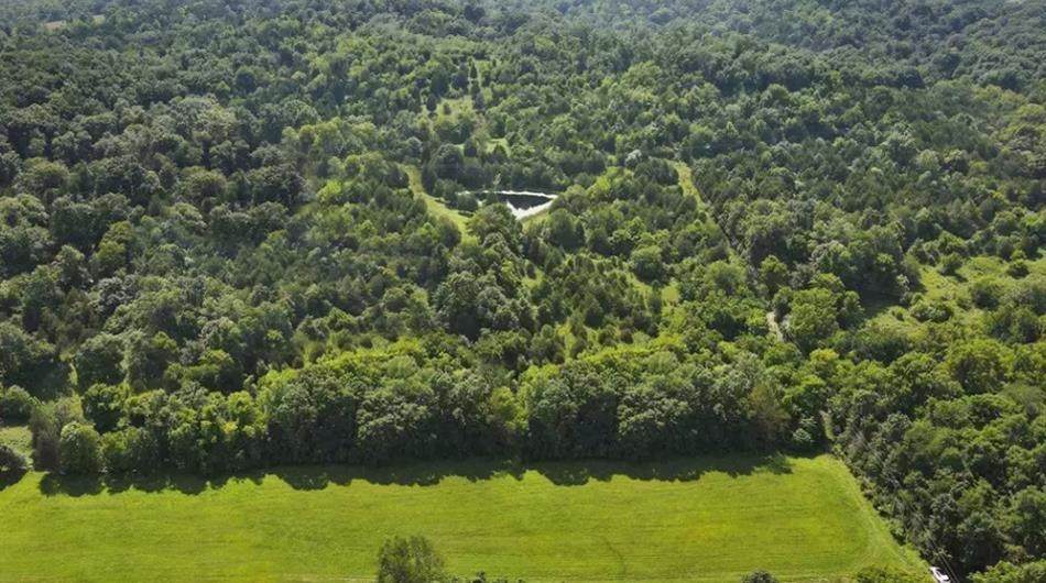 11508 Lees - Photo 1