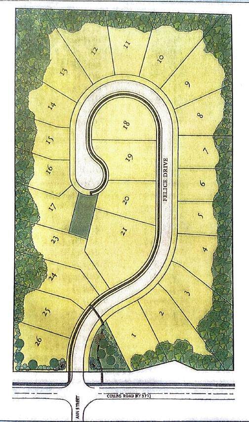 Lot #19 Felice Drive - Photo 1