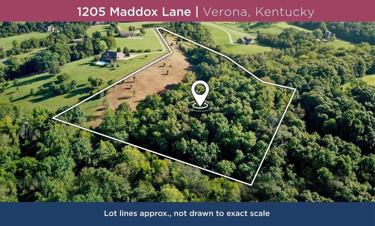 1205 Maddox Lane - Photo 1