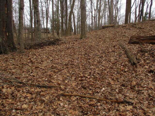 1 Acre Johns Road - Photo 1