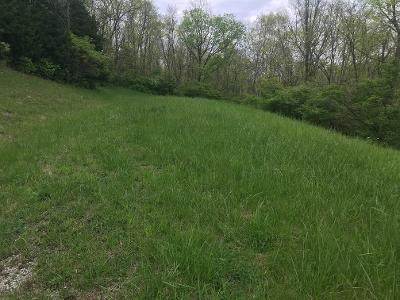 14595 Ky Hwy 8 Hwy - Photo 1