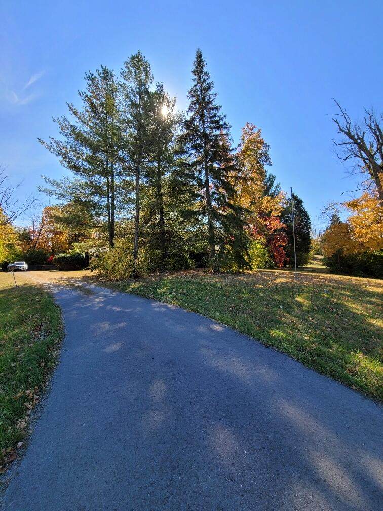 729 Mount Zion Road - Photo 1
