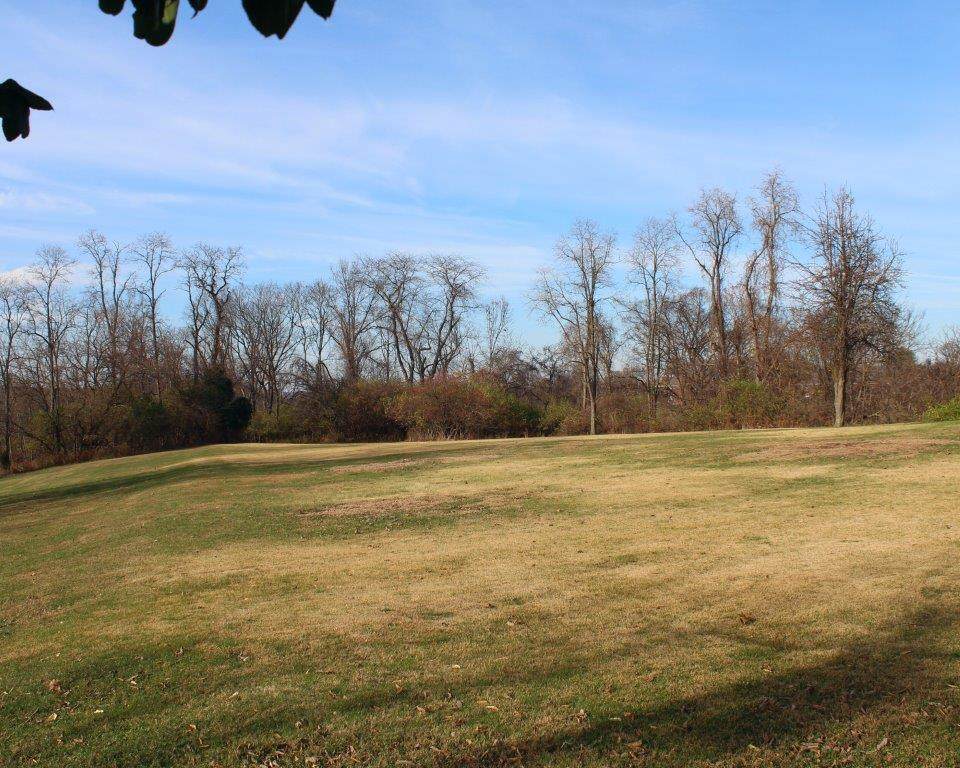 121 Blossom Lane - Photo 1