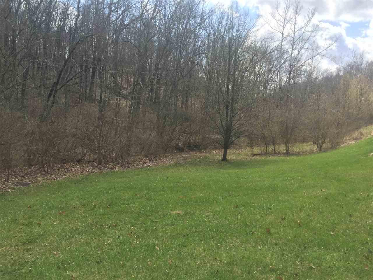 667 Horsebranch Road - Photo 1