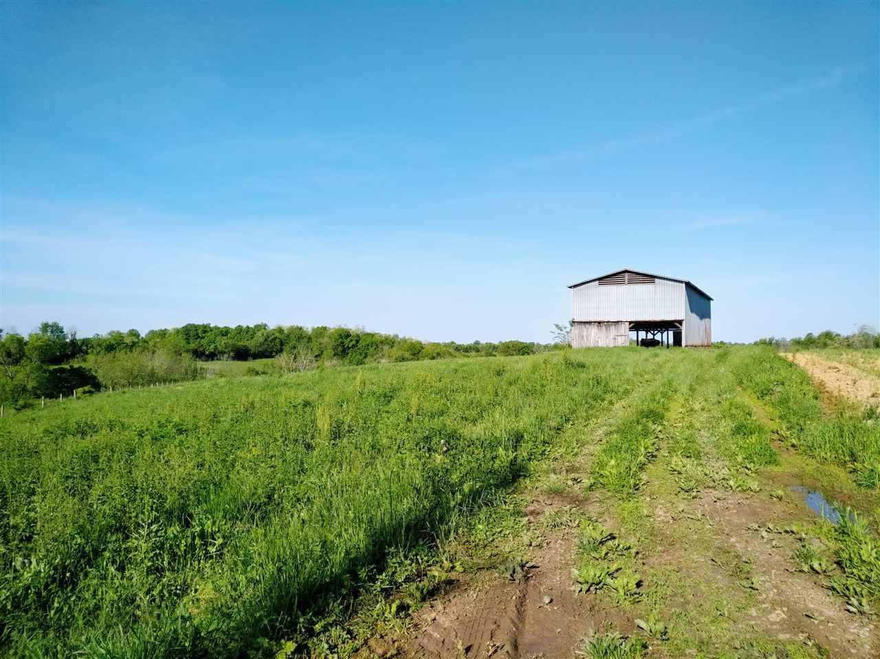 4000 Sherman Mt Zion Road - Photo 1