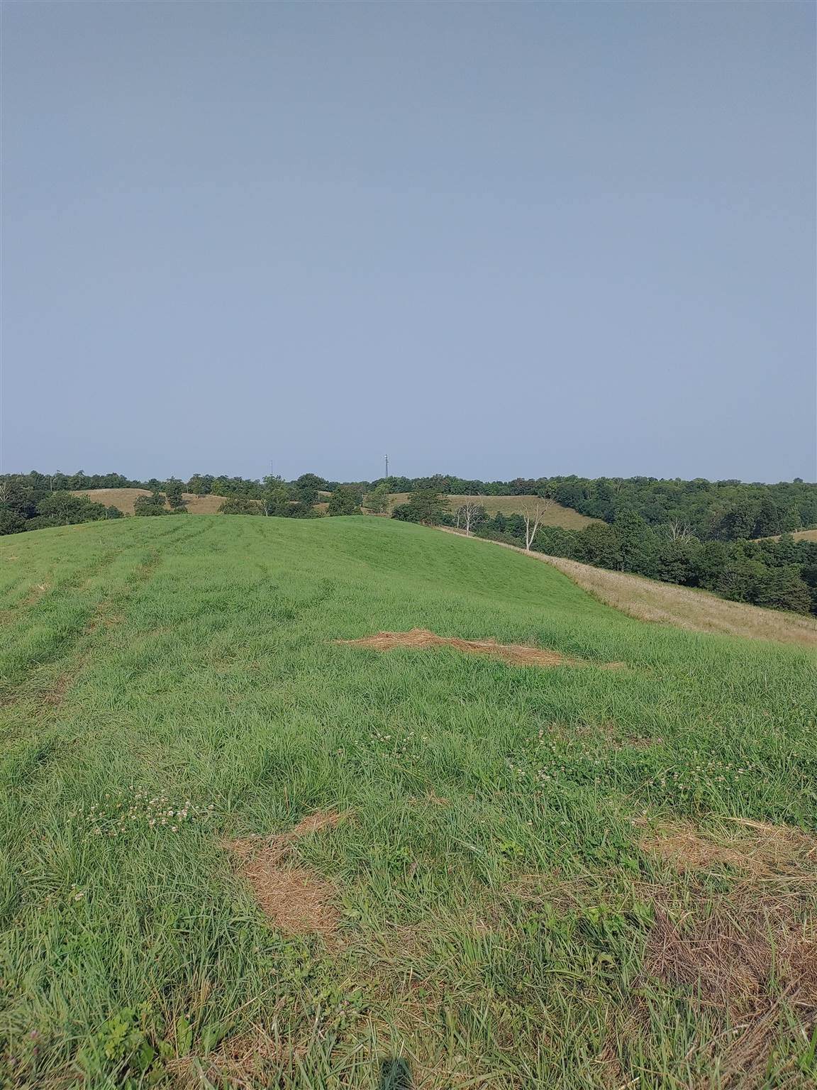 Tract #4 Stone Lane - Photo 1