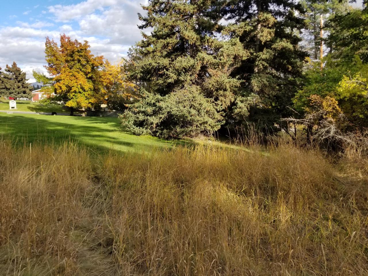 10 Eagle Bend Drive - Photo 1